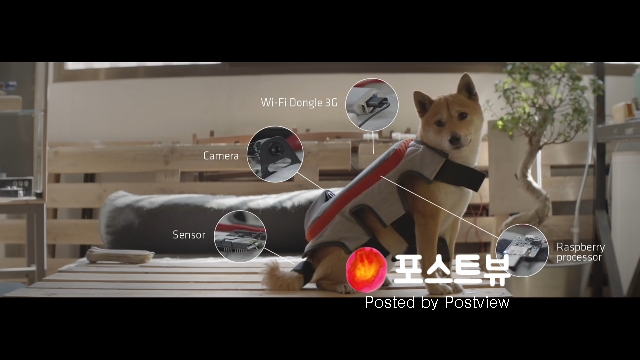 페디그리 소셜미디어에 사진올리기 001