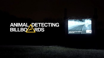 로드킬을 예방하는 BMW 나이트비전 야외캠페인 (2)